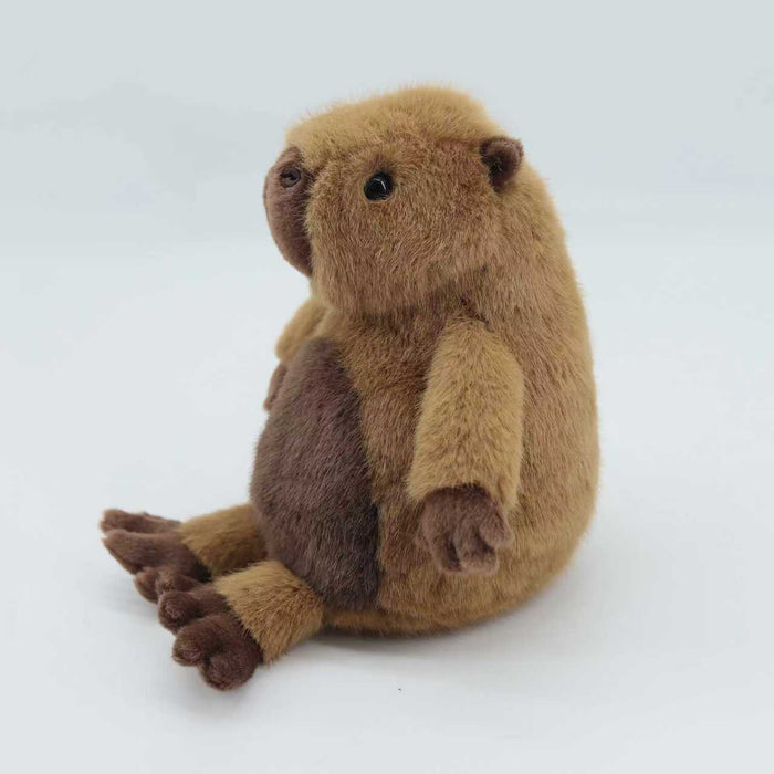 Capybara pehmolelu 20cm