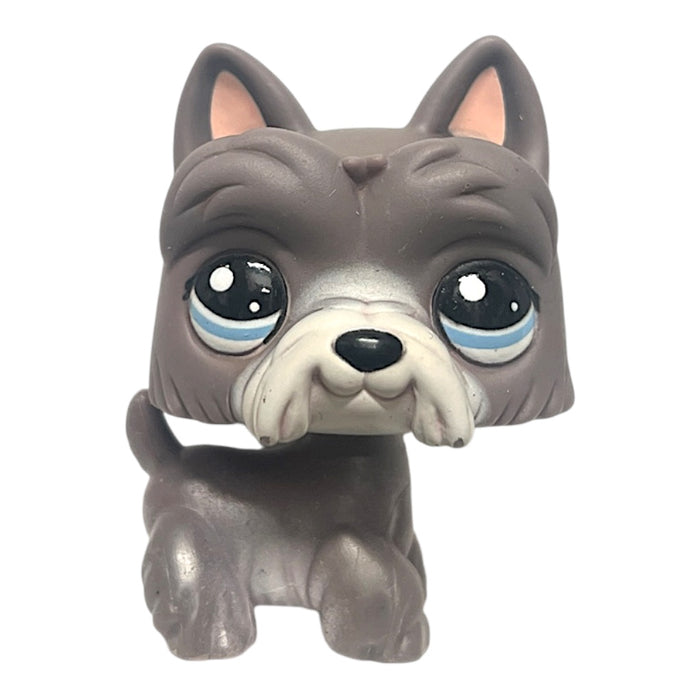 Littlest Petshop Ylämaanterrieri #1860 - Second Hand