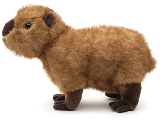 Capybara pehmolelu 27cm