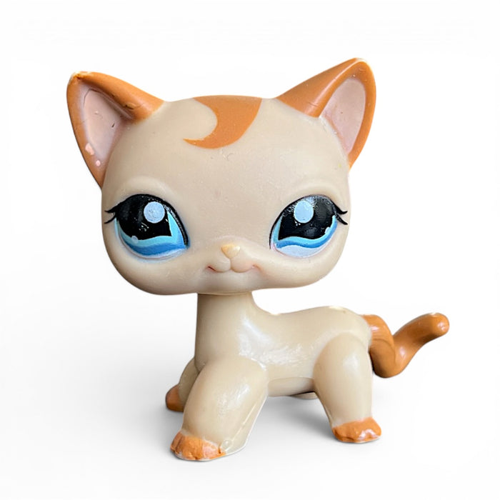 Littlest Petshop seisova Kissa #1023 - Second Hand