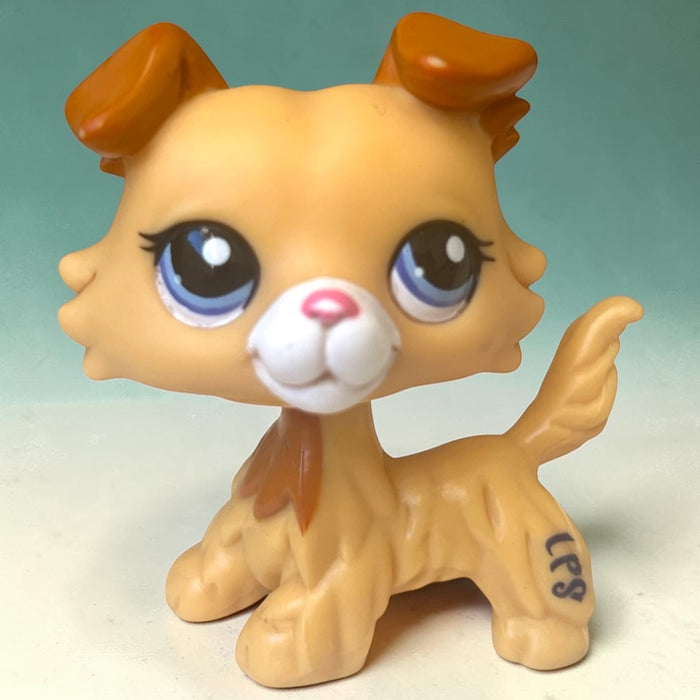Littlest Pet Shop Collie koira #2452 - Second Hand