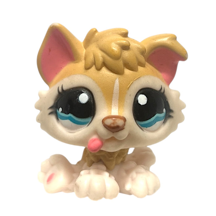 Littlest Pet Shop Husky pentu #1013 - Second Hand