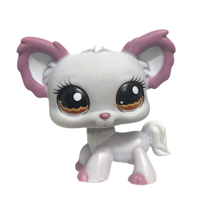 Littlest Pet Shop Chihuahua #1138 - Second Hand