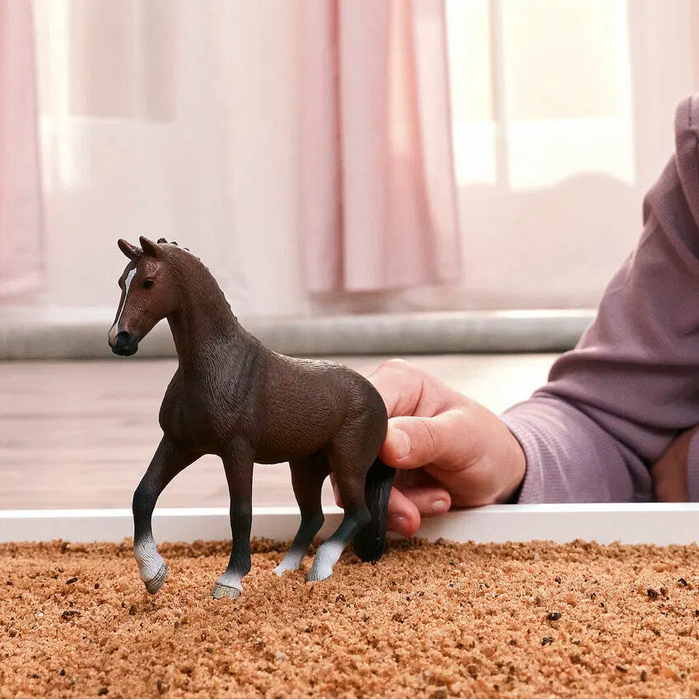 Schleich 14919 Hollannin puoliverinen hevonen, ruuna - Ennakkotilaus