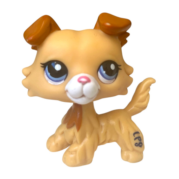 Littlest Pet Shop Collie koira #2452 - Second Hand