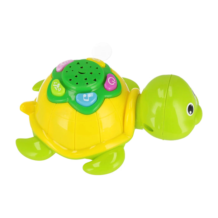 BamBam Funny Turtle lelu