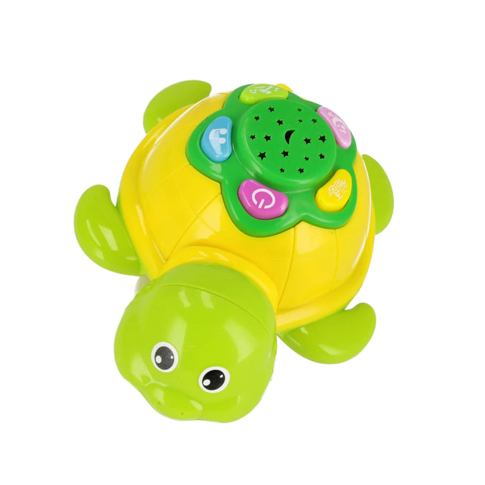 BamBam Funny Turtle lelu