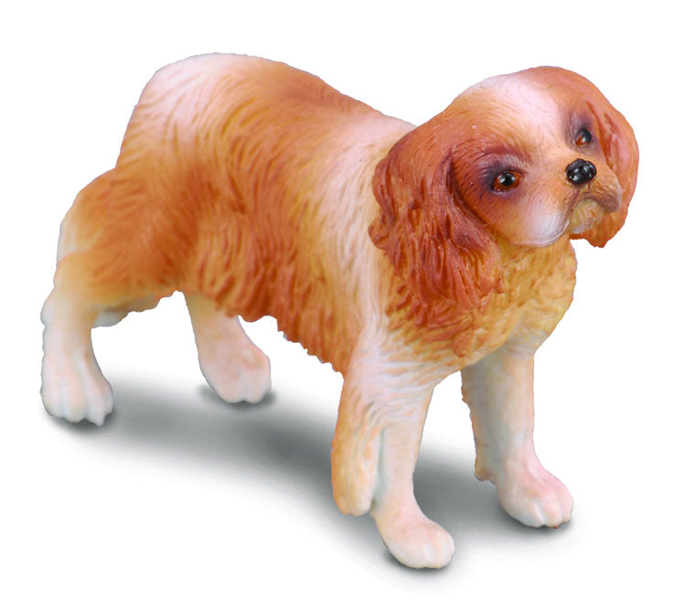 Collecta 88181 Cavalier King Charlesin Spanieli