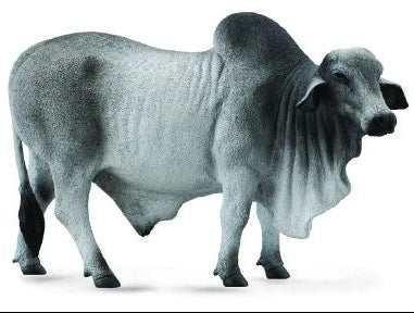 Collecta 88579 Brahman sonni