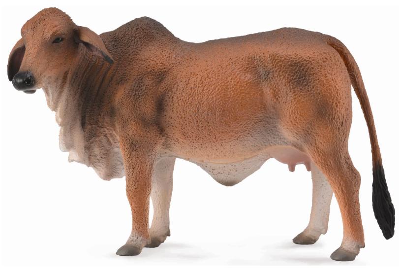 Collecta 88600 Brahman lehmä