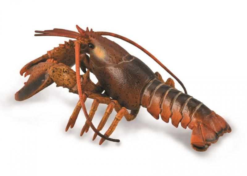 Collecta 88920 Hummeri