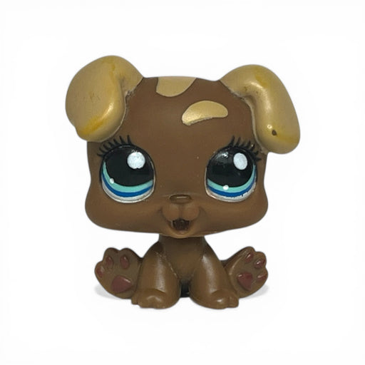Littlest Pet Shop Koira pentu #1052 - Second Hand