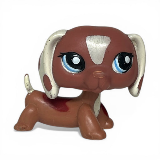 Littlest Pet Shop Mäyräkoira #1631 - Second Hand