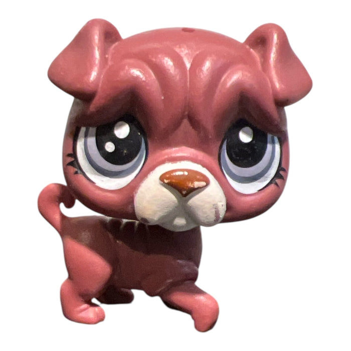Littlest Petshop Shar-pei #57