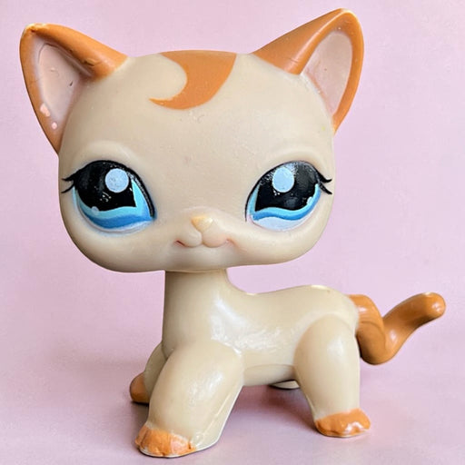 Littlest Petshop seisova Kissa #1023 - Second Hand