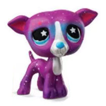 Littlest Pet Shop G7 S6 Vinttikoira #473 - Ennakkotilaus!