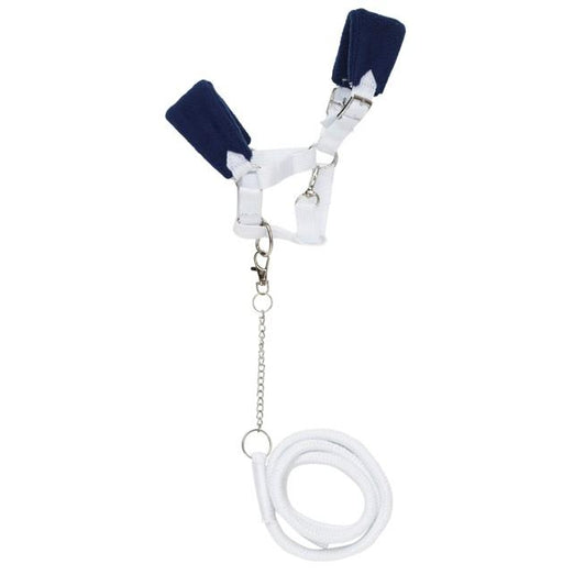 Keppihevosen riimu ja riimunaru - tummansininen ja valkoinen