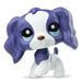 Littlest Pet Shop G7 Cockerspanieli #161