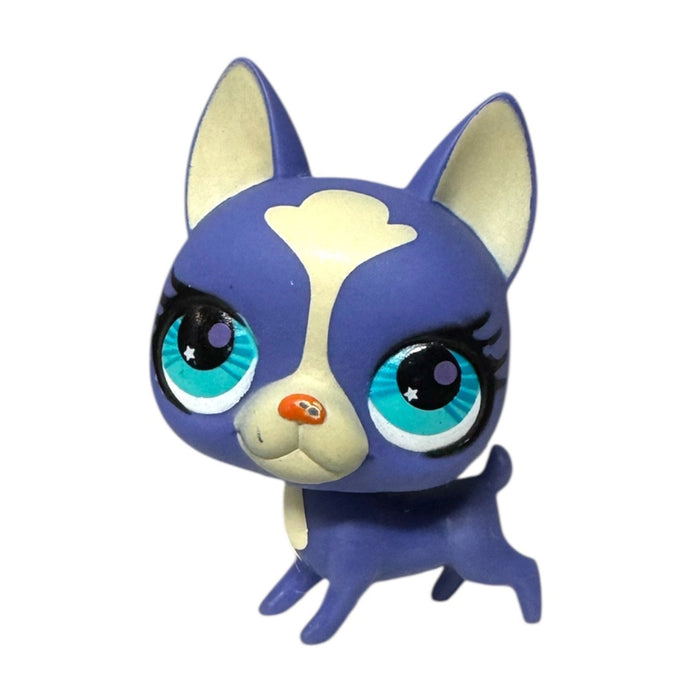 Littlest Petshop Bostoninterrieri #2750