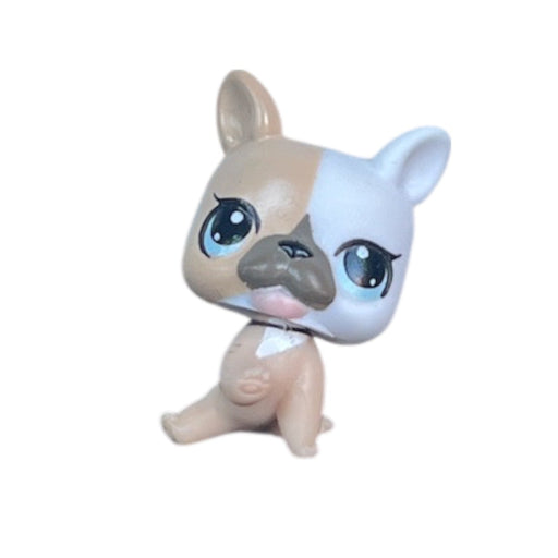Littlest Petshop Bulldog vauva #3588