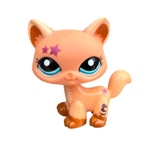 Littlest Petshop Kissa #2258