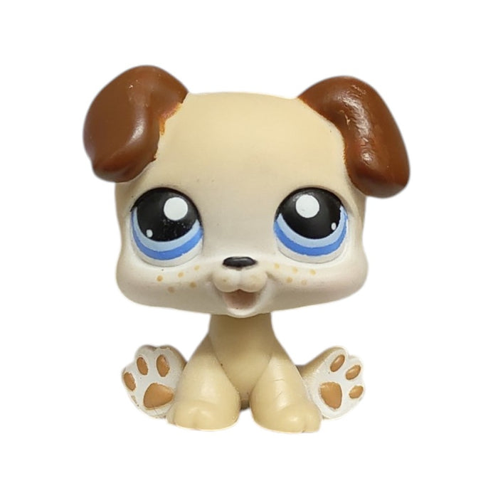 Littlest Petshop Koira pentu #143 - Second Hand