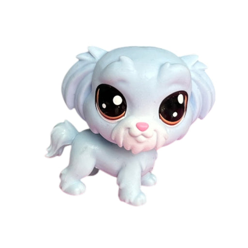 Littlest Petshop Maltan koira #1-111