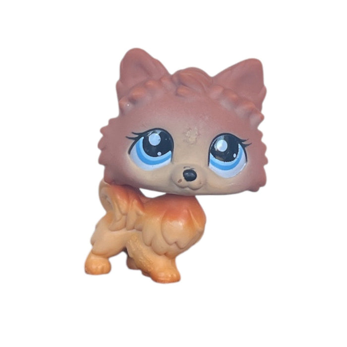 Littlest Petshop Pomerian #1599