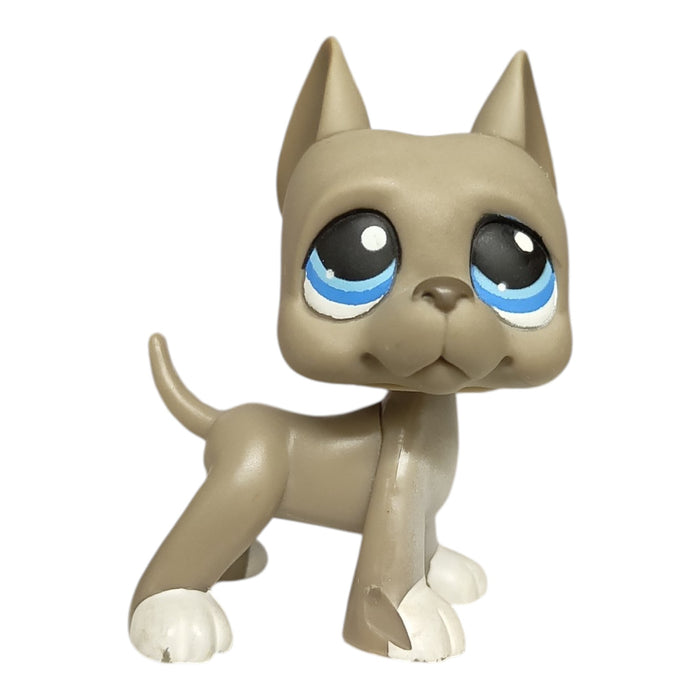 Littlest Petshop Tanskandog koira #184 - Second Hand
