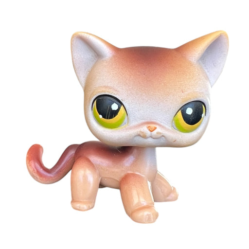 Littlest Petshop seisova Kissa #19