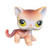 Littlest Petshop seisova Kissa #19