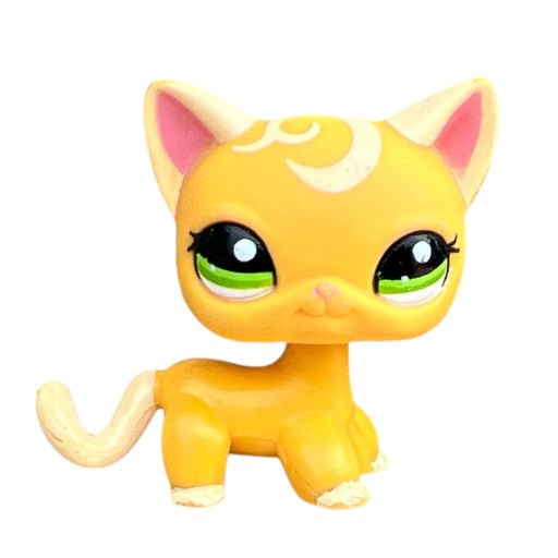 Littlest Petshop seisova Kissa #2194