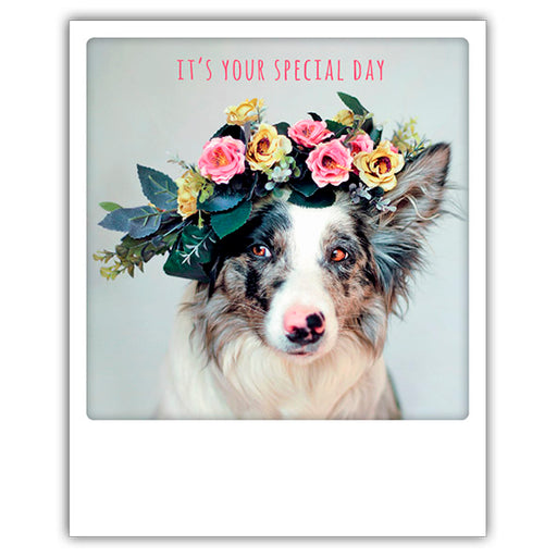 Pick Motion "It´s your special day" Koira kortti