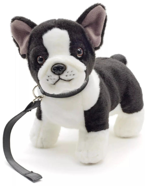 Ranskan Bulldog koira pehmolelu 25cm