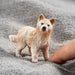 Schleich 14881 Arktinen susi pentu