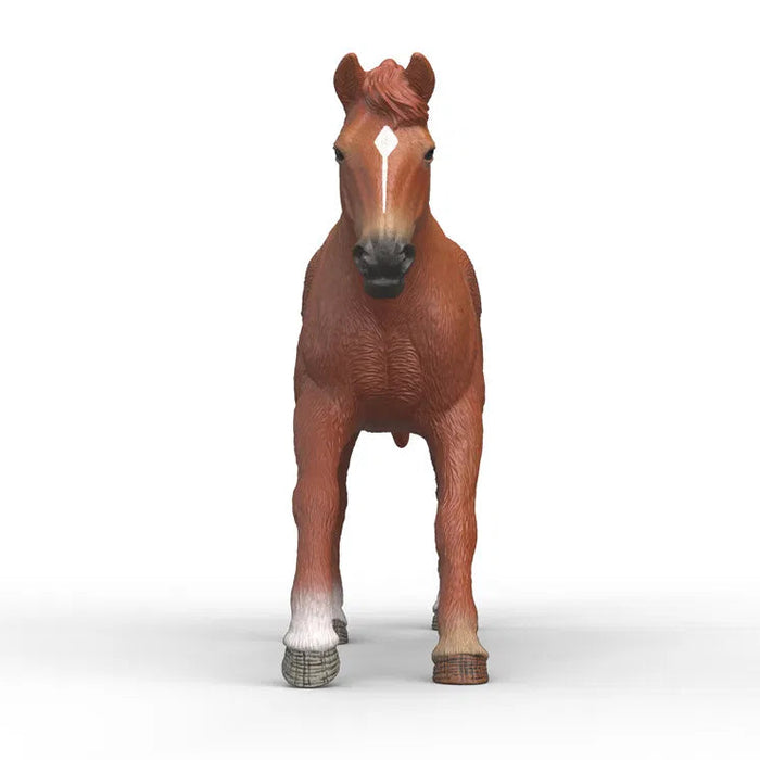 Schleich 14915 Englannin täysverinen hevonen, ori