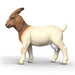 Schleich 14929 Boer vuohi - Ennakkotilaus