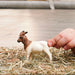 Schleich 14929 Boer vuohi - Ennakkotilaus