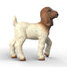 Schleich 14930 Boer vuohi kili