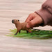Schleich 14934 Capybara - Ennakkotilaus