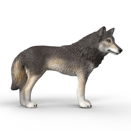 Schleich 14991 Amerikkalainen susi - Ennakkotilaus