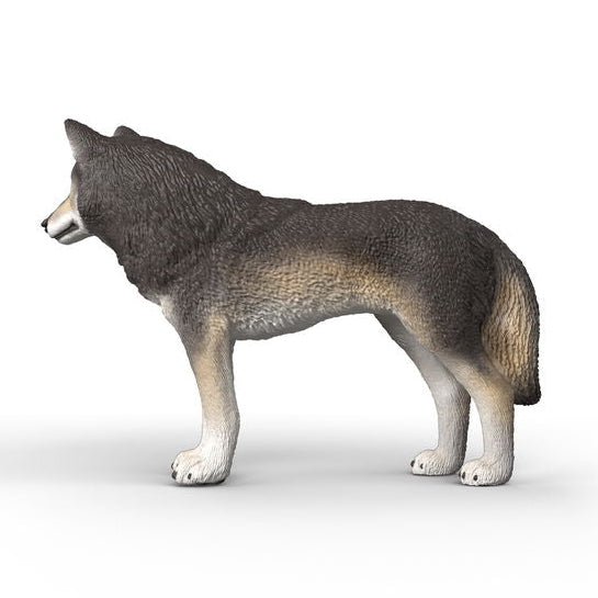 Schleich 14991 Amerikkalainen susi - Ennakkotilaus