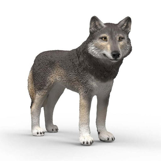 Schleich 14991 Amerikkalainen susi - Ennakkotilaus