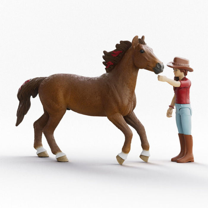Schleich 42711 ratsastaja Hannah & Cayenne hevonen + varusteet - Tulossa pian!