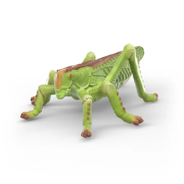 Schleich 42741 Wild Life Hyönteiset lahjapakkaus - Ennakkotilaus!
