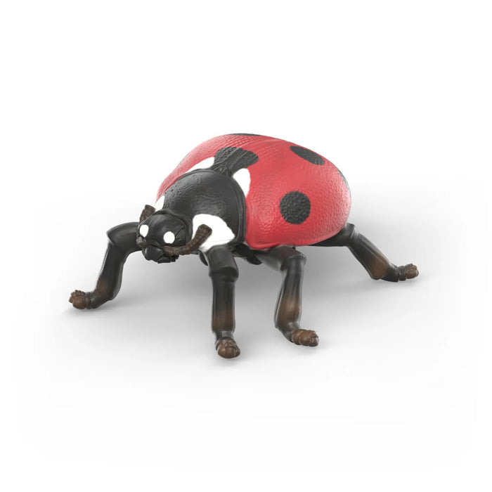 Schleich 42741 Wild Life Hyönteiset lahjapakkaus - Ennakkotilaus!
