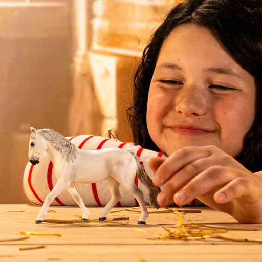 Schleich 72279 Lipizza hevonen, ruuna - Special edition!