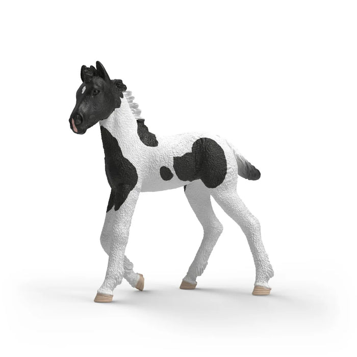 Schleich 81481 varsa Rocky - Ennakkotilaus