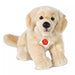 Teddy Hermann Kultainen noutaja pehmolelu 30cm