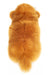 Teddy Hermann Mammutti pehmolelu 30cm